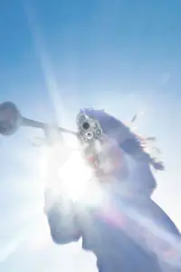 Poster to the movie "Geese: Getting Killed - From the Basement" #1148973