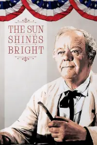 Poster to the movie "The Sun Shines Bright" #989192