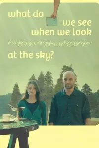 Poster to the movie "What Do We See When We Look at the Sky?" #963417