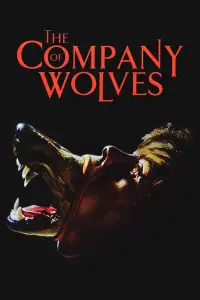 Poster to the movie "The Company of Wolves" #959488