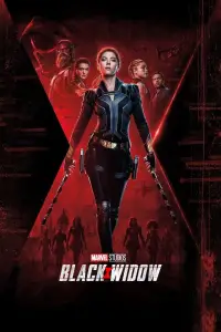 Poster to the movie "Black Widow" #935428