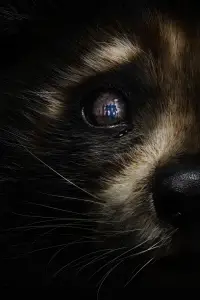 Poster to the movie "Guardians of the Galaxy Vol. 3" #560566