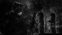 Backdrop to the movie "King Kong" #824223