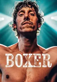 Poster to the movie "Boxer" #635348