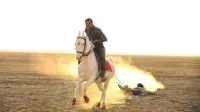 Backdrop to the movie "Theeran Adhigaaram Ondru" #787683