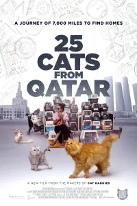Poster to the movie "25 Cats From Qatar" #753909