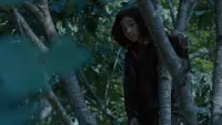 Backdrop to the movie "The Hunger Games" #766907