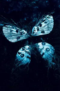 Poster to the movie "The Butterfly Effect 3: Revelations" #683721