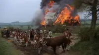Backdrop to the movie "Barry Lyndon" #819250