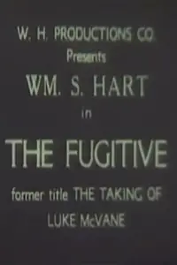 Poster to the movie "The Taking of Luke McVane" #1191545