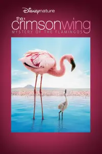 Poster to the movie "The Crimson Wing: Mystery of the Flamingos" #964456