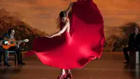 Backdrop to the movie "Flamenco Flamenco" #744757