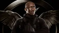 Backdrop to the movie "The Hunger Games: Mockingjay - Part 1" #867860