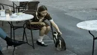 Backdrop to the movie "The Penguin Lessons" #816112
