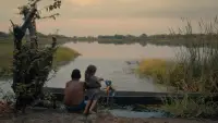 Backdrop to the movie "Audio and the Alligator" #887684