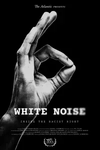 Poster to the movie "White Noise" #1050742