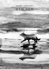 Poster to the movie "Stalker" #984638