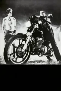 Poster to the movie "Rumble Fish" #846038