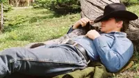 Backdrop to the movie "Brokeback Mountain" #819756