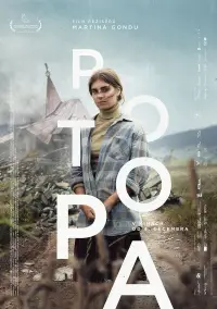 Poster to the movie "Potopa" #1150554