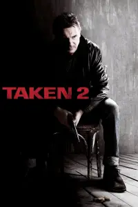 Poster to the movie "Taken 2" #936773