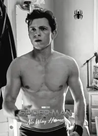 Poster to the movie "Spider-Man: No Way Home" #689709