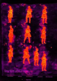 Poster to the movie "tiny film about rape" #1075867