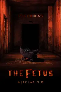 Poster to the movie "The Fetus" #640599