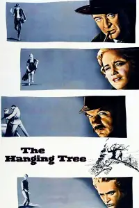 Poster to the movie "The Hanging Tree" #988937