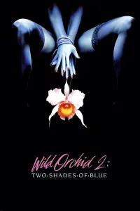 Poster to the movie "Wild Orchid II: Two Shades of Blue" #965862