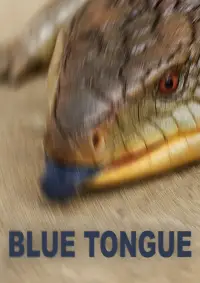 Poster to the movie "Blue Tongue" #1074695