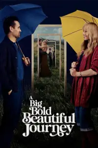 Poster to the movie "A Big Bold Beautiful Journey" #559384