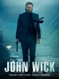 Poster to the movie "John Wick" #789300
