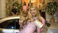 Backdrop to the movie "White Chicks" #516437