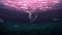 Backdrop to the movie "A Silent Voice: The Movie" #711422