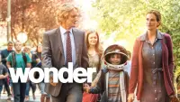 Backdrop to the movie "Wonder" #945962