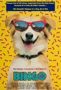 Poster to the movie "Bingo" #1088602
