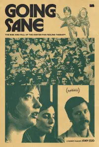 Poster to the movie "Going Sane: The Rise and Fall of the Center For Feeling Therapy" #557693