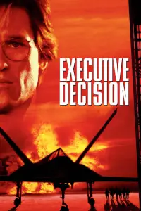 Poster to the movie "Executive Decision" #956218