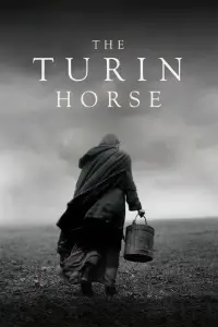 Poster to the movie "The Turin Horse" #1137937