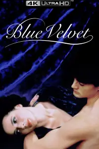 Poster to the movie "Blue Velvet" #910904
