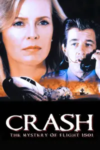 Poster to the movie "Crash: The Mystery of Flight 1501" #951834