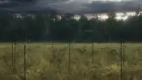Backdrop to the movie "Annihilation" #711586
