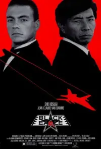 Poster to the movie "Black Eagle" #1096502