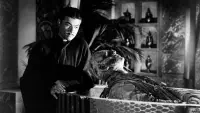 Backdrop to the movie "The Mummy