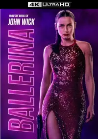 Poster to the movie "Ballerina" #900111