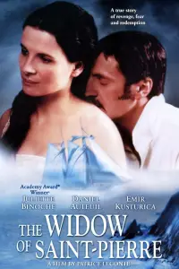Poster to the movie "The Widow of Saint-Pierre" #964947