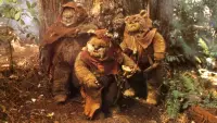 Backdrop to the movie "The Ewok Adventure" #796187