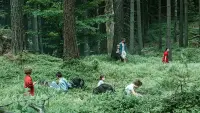 Backdrop to the movie "Werewolf" #703343