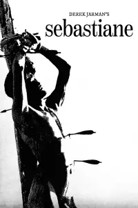 Poster to the movie "Sebastiane" #1116752